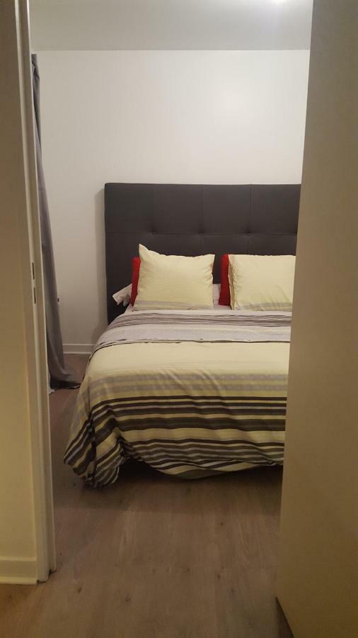 Appartement Spacieux Avec Terrasse Pres De Paris Et Du Stade De France Saint-Denis  Ngoại thất bức ảnh