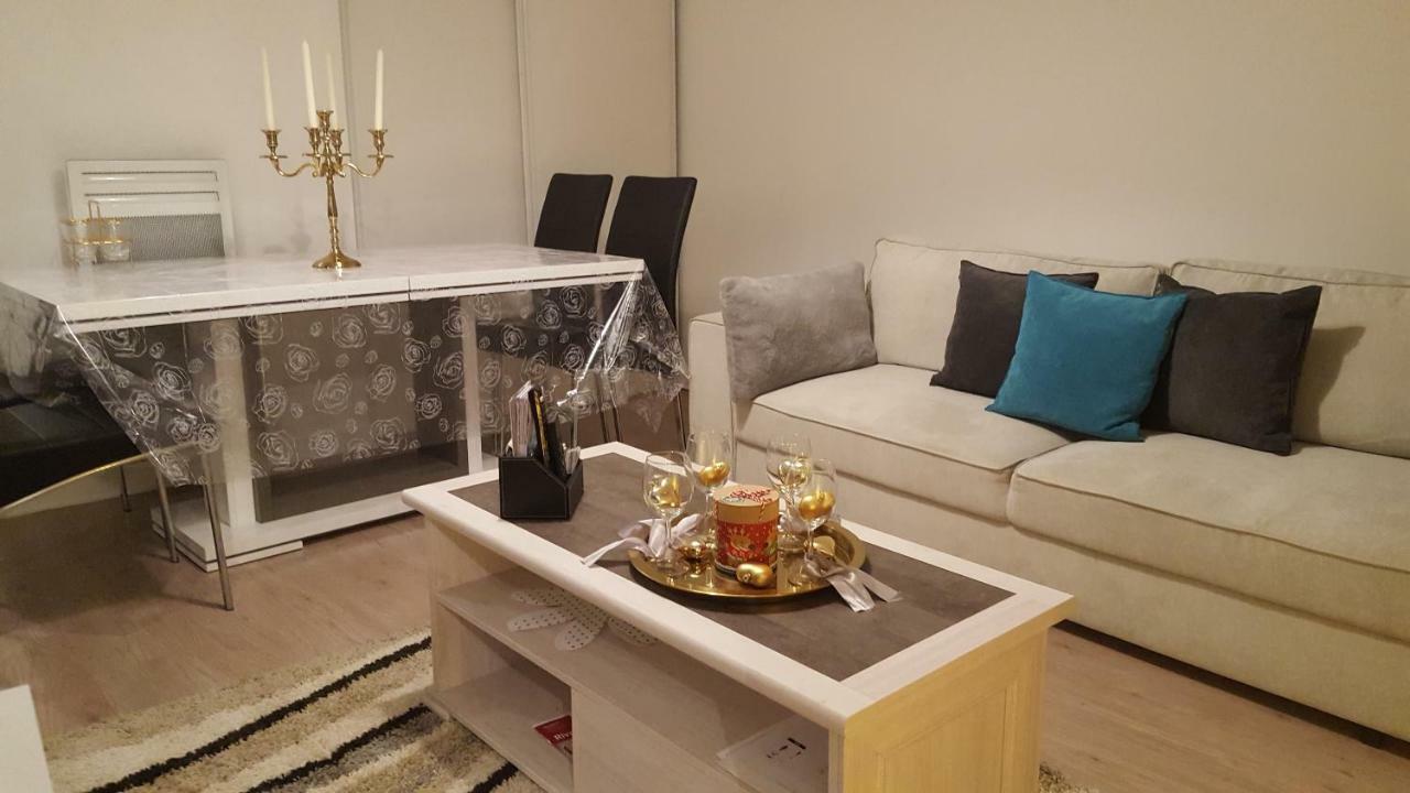 Appartement Spacieux Avec Terrasse Pres De Paris Et Du Stade De France Saint-Denis  Ngoại thất bức ảnh