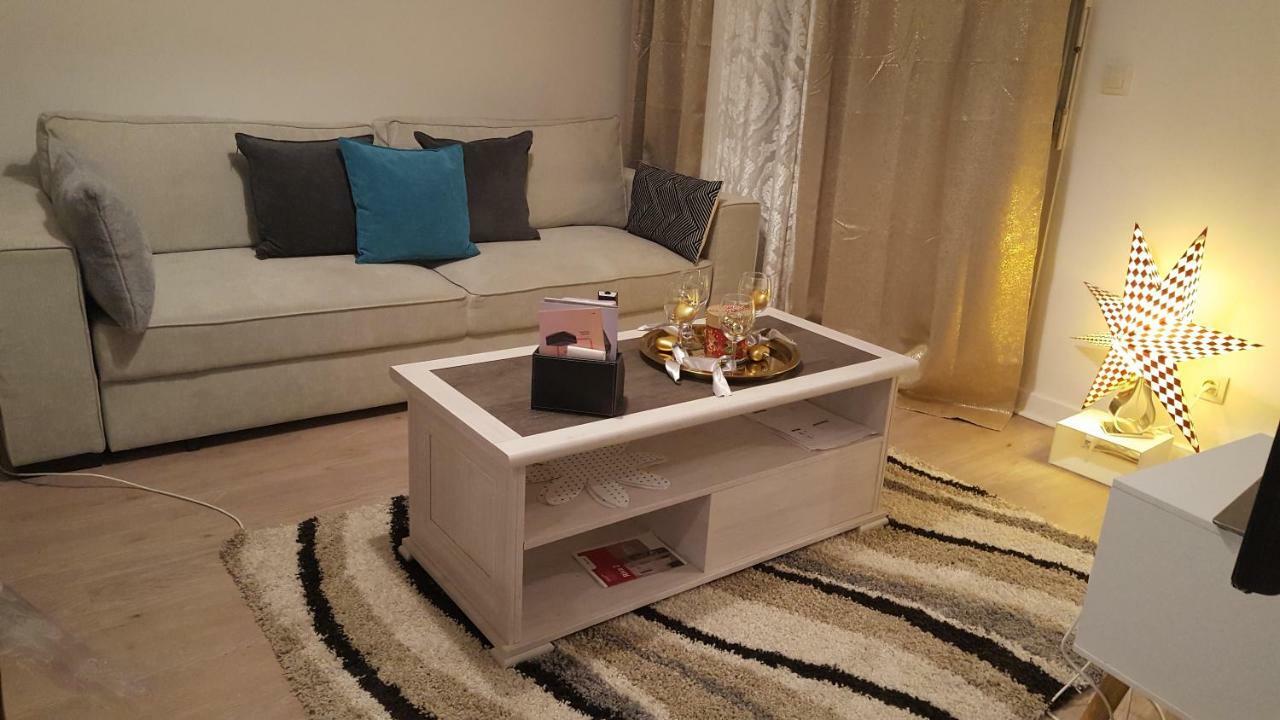 Appartement Spacieux Avec Terrasse Pres De Paris Et Du Stade De France Saint-Denis  Ngoại thất bức ảnh